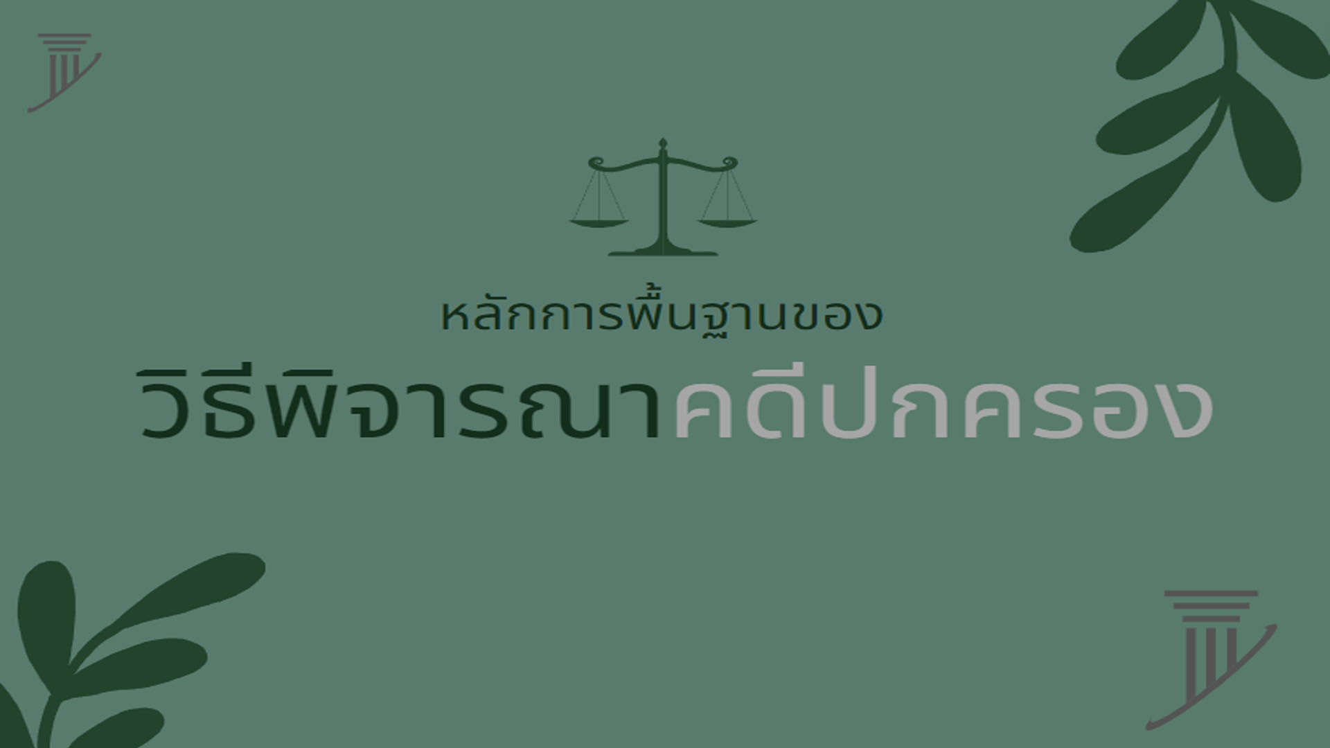 หลักการพื้นฐานของวิธีพิจารณาคดีปกครอง OAC106